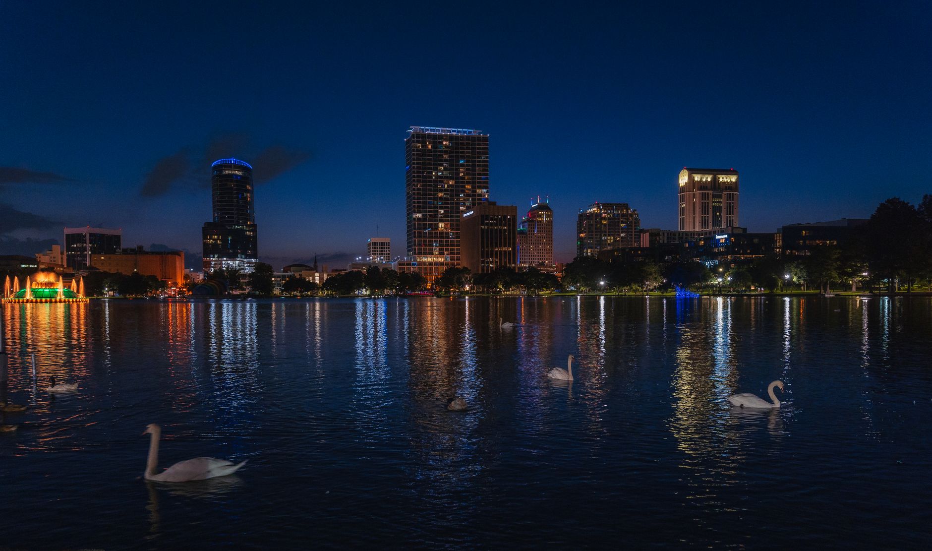 Night view of Orlando skyline reflecting on Lake Eola with swans gracefully swimming.