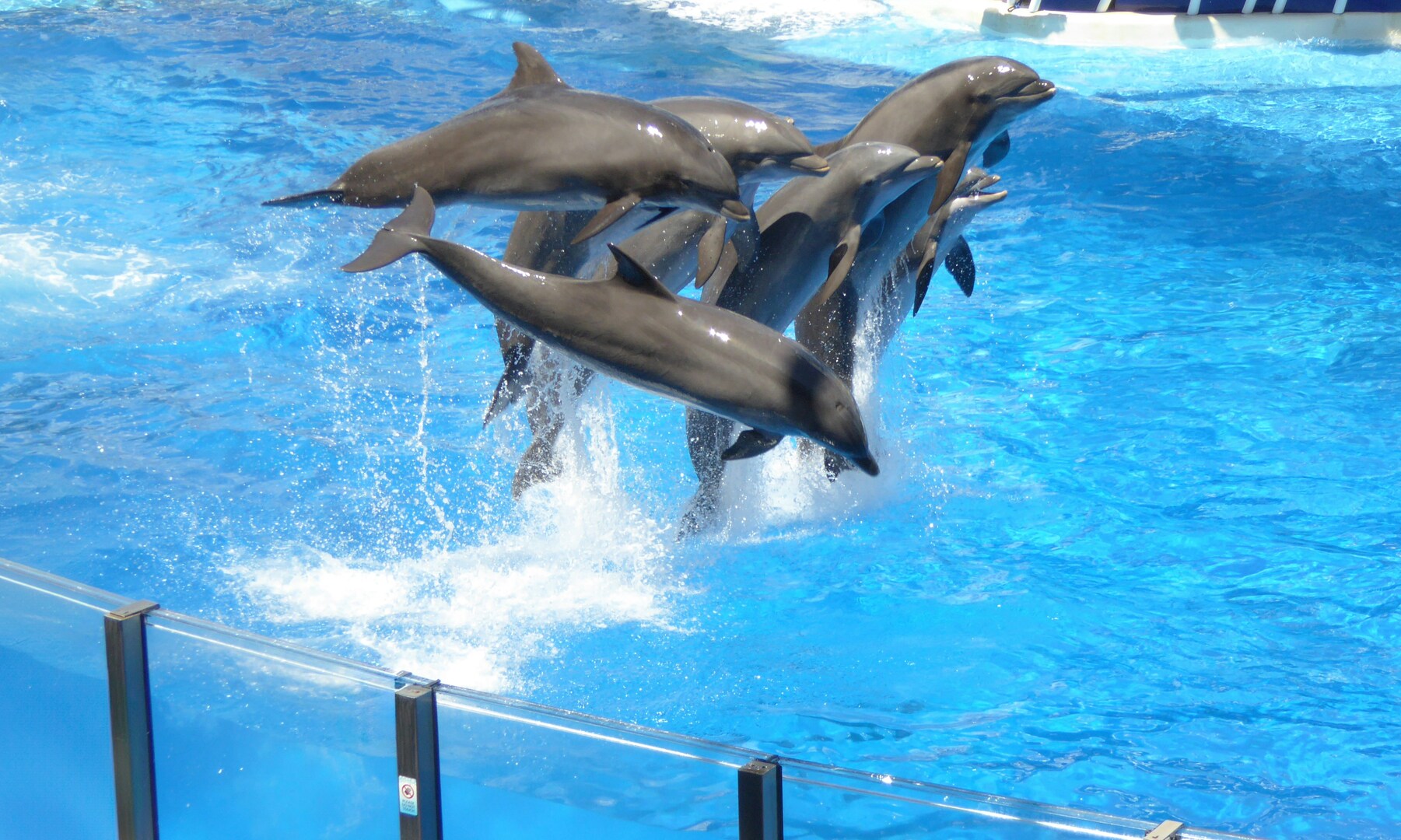 SeaWorld